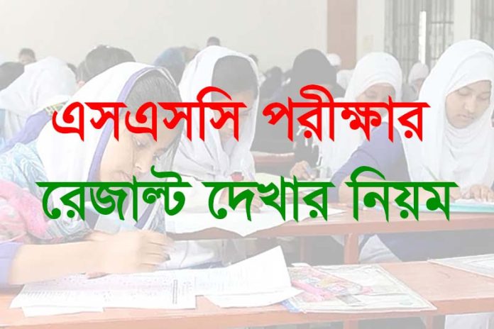 এসএসসি - SSC পরীক্ষার রেজাল্ট ২০২৪ - itpalacebd